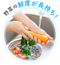 野菜の鮮度が長持ち!
